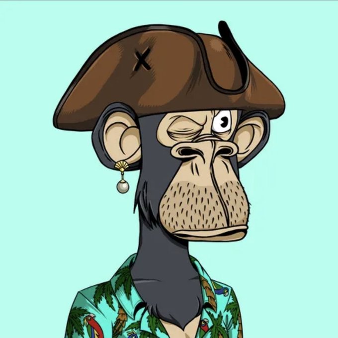 A cartoon illustration of a pirate monkey wearing a brown tricorn hat with an 'X' mark and an earring, dressed in a tropical shirt against a light teal background.