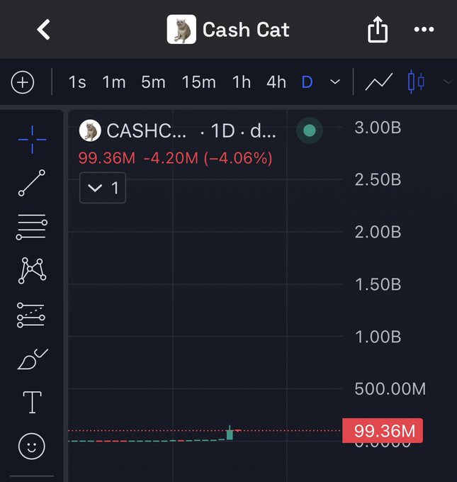 A TradingView chart of "Cash Cat" (CASHC) token showing a 1D price of 99.36M, down 4.20M (-4.06%) for the day, with a price scale ranging up to 3.00B. The image contrasts with the post's optimism, as the chart actually displays a significant daily loss rather than gains, undermining the poster's triumphant tone about holding the coin.