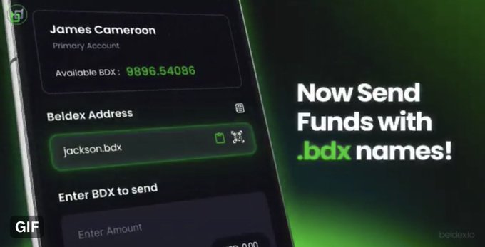A Beldex cryptocurrency wallet interface shows 'James Cameroon' as a primary account with 9896.54086 BDX, advertising 'Now Send Funds with .bdx names!' using 'jackson.bdx'.