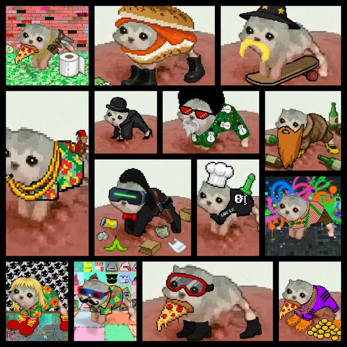 A collage of various meme-style images featuring a wide-eyed kitten character dressed in different costumes, including a biker, chef, and skater.