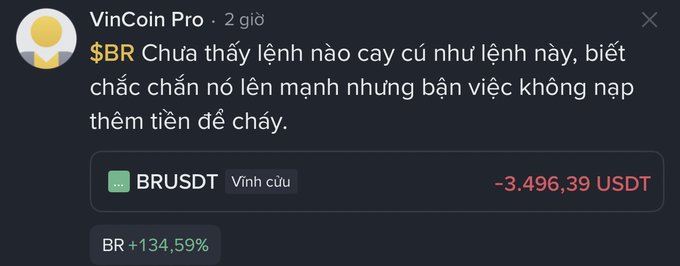 A Telegram post by 'VinCoin Pro' in Vietnamese discussing the $BR token, noting a BRUSDT perpetual contract down -3,496.39 USDT with a +134.59% increase for BR.