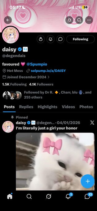 X/Twitter profile page for "daisy" (@degendais), showing 1.5K Following, 4.1K Followers, with a pinned post captioned "I'm literally just a girl your honor" featuring a white cat with pink bows.