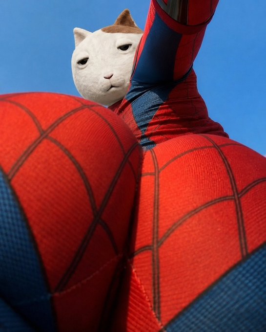A person in a Spider-Man costume posing with their arm raised against a blue sky, with a white cat plush head visible behind them.