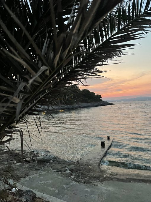 A sunset over the sea viewed through palm tree fronds, with a rocky shoreline and a small pier extending into the water.