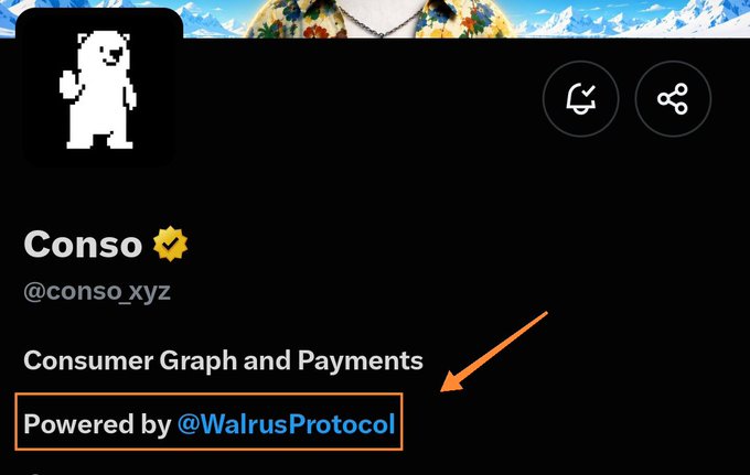 A Twitter/X profile for 'Conso' (@conso_xyz) with the bio 'Consumer Graph and Payments', featuring an orange arrow and box highlighting 'Powered by @WalrusProtocol'.