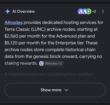 Google AI Overview stating that Allnodes provides dedicated hosting services for Terra Classic (LUNC) archive nodes, starting at $2,560/month for Advanced and $5,120/month for Enterprise plans.
