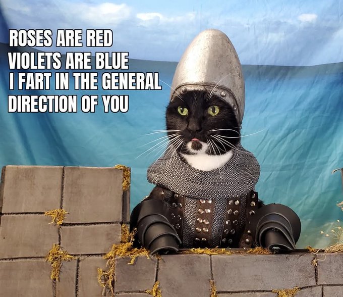 A black and white cat dressed in medieval armor behind a castle wall, paired with the meme text 'ROSES ARE RED VIOLETS ARE BLUE I FART IN THE GENERAL DIRECTION OF YOU'.