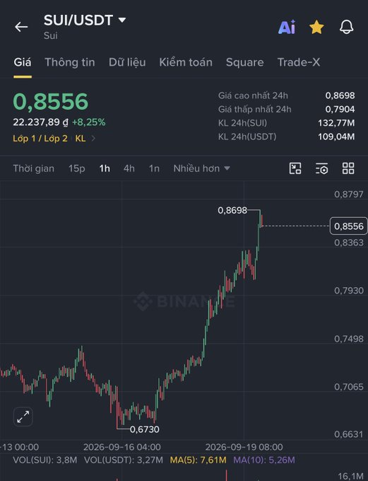 A Binance price chart for SUI/USDT showing a current price of 0.8556, up 8.25%, with a 24h high of 0.8698 and 24h low of 0.7904 on a Vietnamese interface.