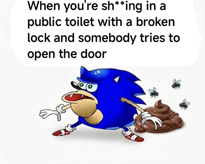 A humorous meme with text 'When you're sh**ing in a public toilet with a broken lock and somebody tries to open the door,' depicting a panicked Sonic the Hedgehog character next to a pile of poop with flies.