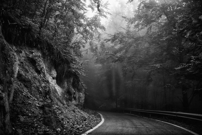A misty forest road winds through shadowy trees with soft light piercing the fog, evoking a sense of quiet hope and mystery—mirroring the contemplative mood of the "Feeling The Hope" NFT listing on SuperRare.