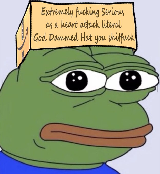 A 'Sad Pepe' meme wearing a paper hat that reads 'Extremely fucking Serious as a heart attack literal God Dammed Hat you shitfuck.'