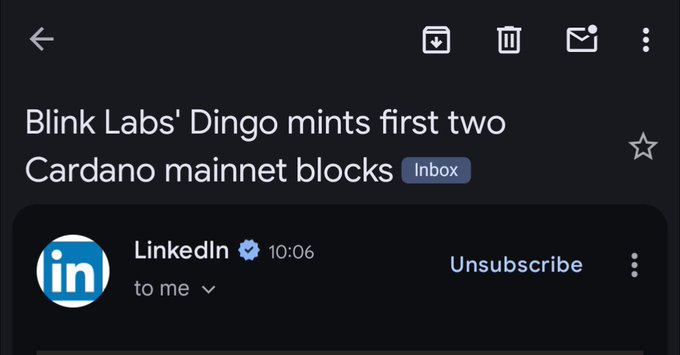 A dark-themed email screenshot showing a subject line 'Blink Labs' Dingo mints first two Cardano mainnet blocks' received from LinkedIn at 10:06.