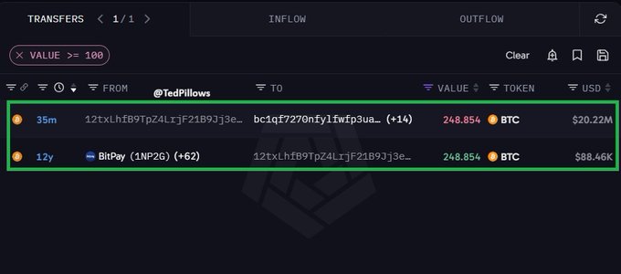 A highlighted blockchain transaction record shows a transfer from @TedPillows moving 248.854 BTC valued at $20.22M, with a second entry linking to a BitPay wallet (1NP2G) that originally received the same 248.854 BTC in 2012/2013 for just $88.46K—illustrating the 12-year HODL story where the coins appreciated from ~$356 to ~$81,300 per BTC.