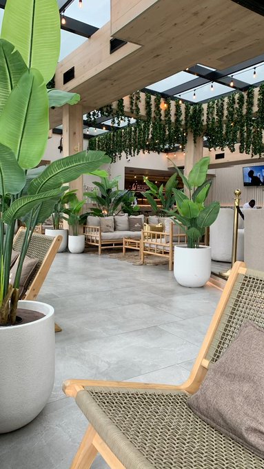 The image shows a room filled with various potted plants placed throughout the space. There are two chairs positioned near each other, one of which has a pillow on it. The room also features a couch situated against the wall, creating an inviting atmosphere for relaxation or socializing. A TV is mounted on the wall in the background, and there's a person visible in the scene, possibly attending to their plants or enjoying the ambiance created by the greenery.