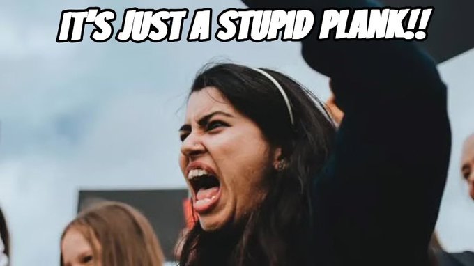 A meme-style image of an angry woman shouting, with the text 'IT'S JUST A STUPID PLANK!!' displayed at the top.