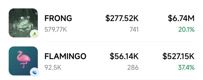 A cryptocurrency price list showing FRONG at $277.52K with $6.74M market cap (20.1%) and FLAMINGO at $56.14K with $527.15K market cap (37.4%).