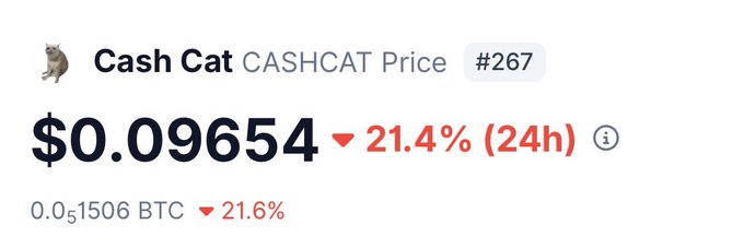 A cryptocurrency price card showing Cash Cat (CASHCAT) trading at $0.09654, down 21.4% in 24h and 21.6% against Bitcoin at 0.01506 BTC, ranked #267—illustrating the volatility behind the hype driving Robinhood Chain's latest trending token.