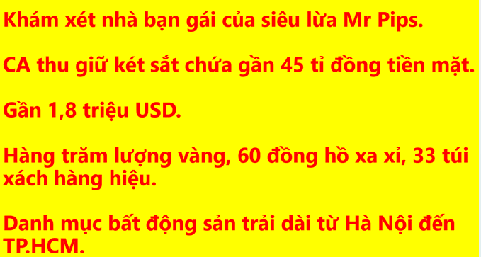 A yellow graphic with red Vietnamese text detailing seized assets from a raid on the girlfriend of scammer Mr Pips, including 45 billion VND, $1.8 million, gold, watches, and real estate.