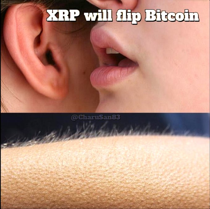 A meme showing a close-up of someone whispering "XRP will flip Bitcoin" near an ear, followed by an image of an arm covered in goosebumps, humorously depicting the hype and excitement XRP supporters feel about the claim that XRP will surpass Bitcoin.