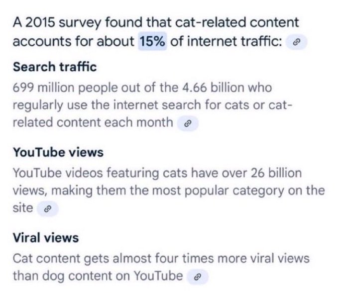 A 2015 survey statistic noting cat-related content accounts for about 15% of internet traffic, including that 699 million people search for cats monthly and cat videos on YouTube have over 26 billion views.