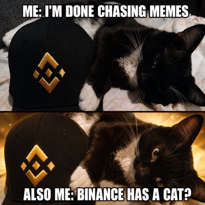 The image is a two-panel meme showing a black and white tuxedo cat lying next to a black Binance-branded cap with its gold logo. The top panel is captioned "ME: I'M DONE CHASING MEMES" with the cat calmly resting, while the bottom panel reads "ALSO ME: BINANCE HAS A CAT?" showing the cat with wide, excited eyes. 

This humorously depicts the relatable crypto trader's struggle of trying to resist new meme tokens, only to immediately get distracted by Binance's newly launched cat-themed meme coin called $semyon (contract: 0x4fdf5ef27ad5528f2a24e98633d739ecb7c27777).