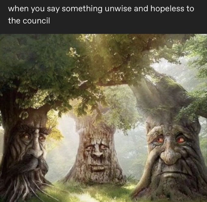A meme captioned 'when you say something unwise and hopeless to the council' depicting three large trees in a forest with faces carved into their trunks, appearing to stare judgmentally.