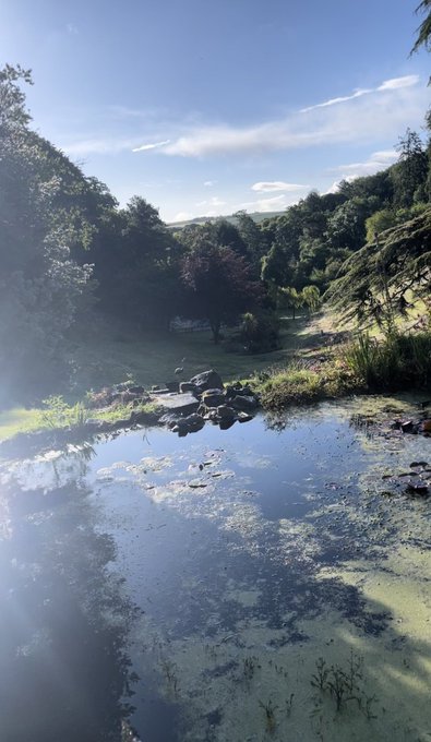 A serene nature photograph showing a still pond with lily pads reflecting a blue sky, surrounded by trees and rocky terrain in a park or garden setting.
