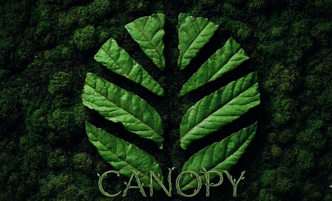 A digital artwork featuring green leaves arranged in a symmetrical pattern against a dark green mossy background, with the text 'CANOPY' stylized at the bottom.