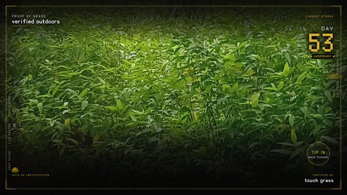 A 'Proof of Grass' certification with a grass background, showing 'Current Streak: 53 Day Legendary' and 'Certified by touch grass'.