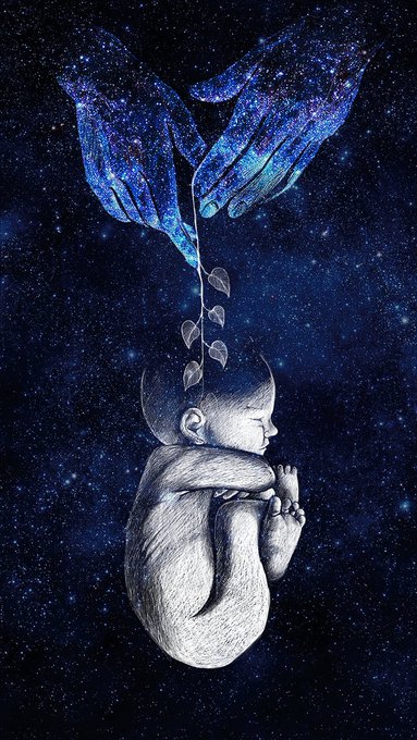 A surreal digital illustration of a sleeping fetus floating in a starry space, with glowing cosmic hands and a heart-shaped vine descending from above.