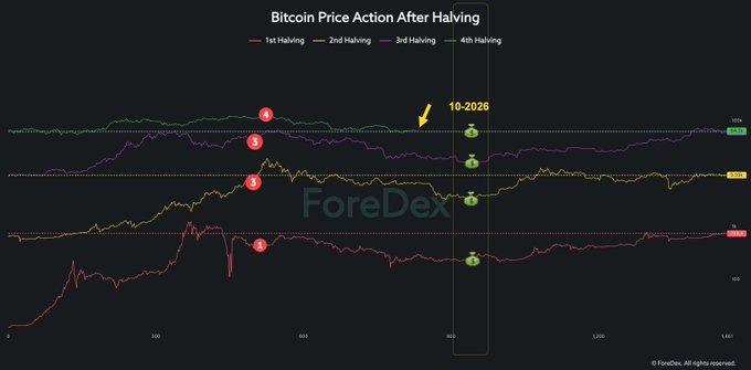 A chart titled "Bitcoin Price Action After Halving" compares price movements across all four halving cycles (labeled 1-4), with the fourth halving highlighted in green at approximately day 830 (October 2026 projection), approaching the critical day 914 mark where previous accumulation phases and cycle bottoms historically began.