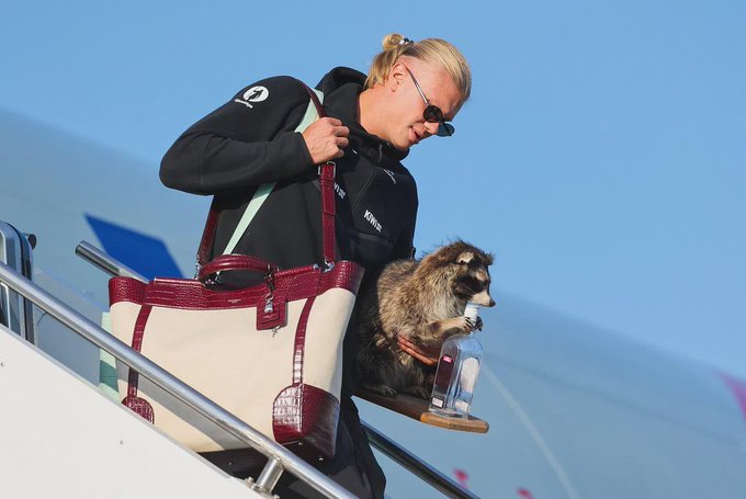 A blonde woman wearing sunglasses and a black hoodie walks down airplane stairs, carrying a handbag in one arm and holding a raccoon that grips a water bottle with its paw.