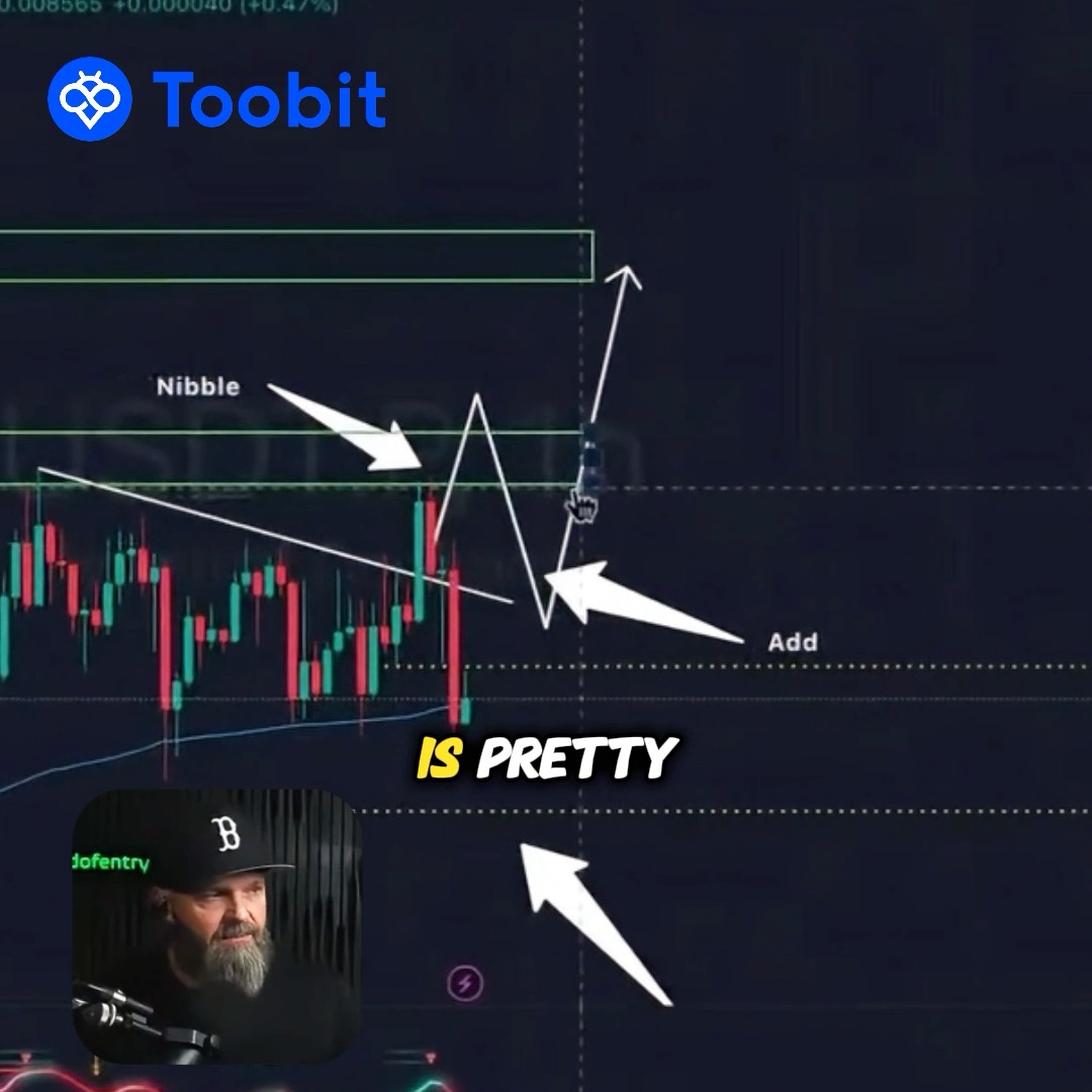 Cryptocurrency trading chart from Toobit showing a candle pattern annotated with 'Nibble' and 'Add' arrows, featuring an inset photo of a bearded man in a baseball cap with text 'IS PRETTY.'