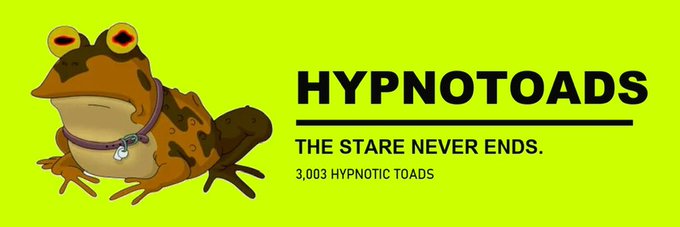 A cartoon toad with large eyes on a bright green background with the text 'HYPNOTOADS - THE STARE NEVER ENDS. 3,003 HYPNOTIC TOADS'.