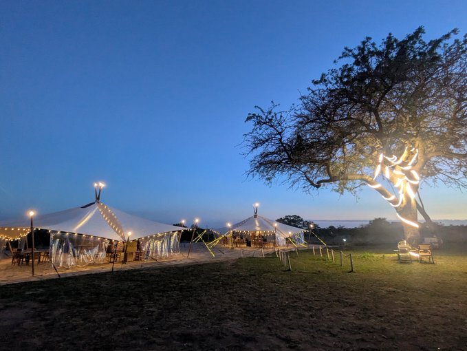 A traveler relaxes at a safari camp at dusk, with illuminated tents and a tree draped in fairy lights setting a serene scene, matching the caption's mood of winding down after a long, busy day.