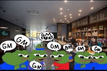 A group of Pepe the Frog characters with speech bubbles saying "GM" inside a Starbucks coffee shop, referencing the "GMFRNS" (Good Morning Friends) meme.