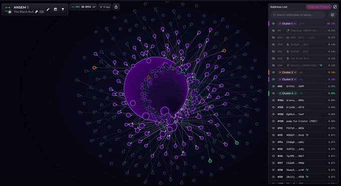 A dark-themed network visualization interface displaying 'ANDEN G - The Black Bull' with a complex web of interconnected nodes radiating from a central purple circle, alongside an Address List sidebar showing cluster addresses with associated percentage values.
