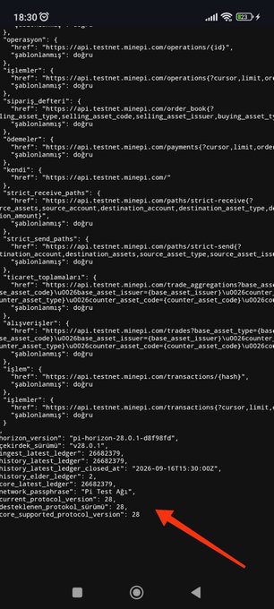 A mobile screenshot displays JSON response data from the Pi Testnet API endpoint, with a red arrow pointing to the field "supported_protocol_version": 28, confirming the Protocol 28 upgrade has been successfully deployed on the Pi Testnet as referenced in the post about its technical infrastructure significance for Pi Network's smart contract ecosystem.