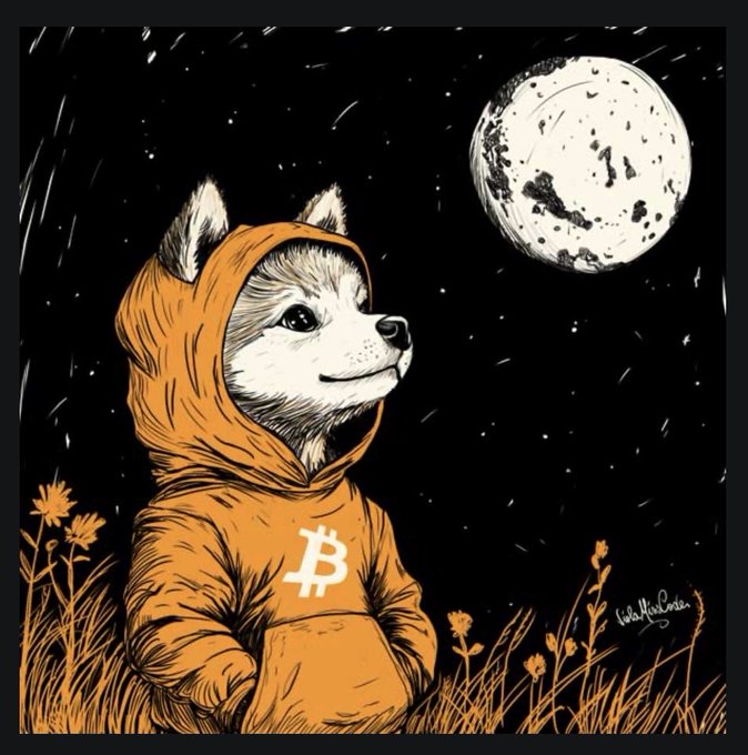 Artistic illustration of a Shiba Inu dog wearing an orange hoodie with the Bitcoin ₿ logo, sitting in a field looking up at a large full moon in a starry black night sky.
