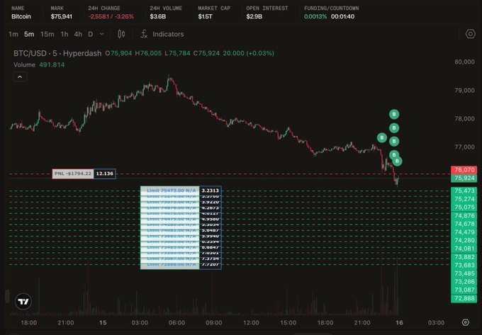 A Hyperliquid BTC/USD 5-minute chart showing Bitcoin priced at $75,941 (down 3.26%), with a cluster of buy limit orders between $73.2K–$75.3K marked with "L" annotations that are being continuously filled after the recent drop, while the post notes the "seed whale guru's" pre-planned long positions at an average of ~$76K.