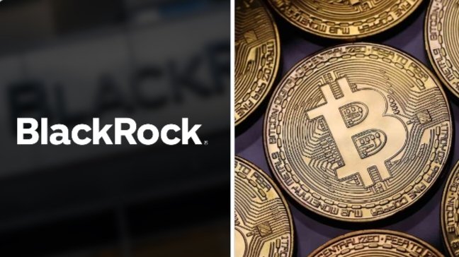 A split image showing the BlackRock logo on the left and several golden Bitcoin tokens on the right.