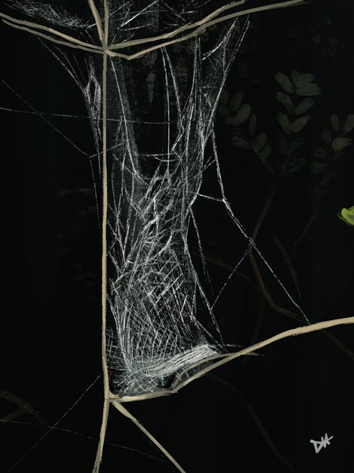 A nighttime photograph showing an intricate spider web stretched between tree branches, illuminated against the dark background.