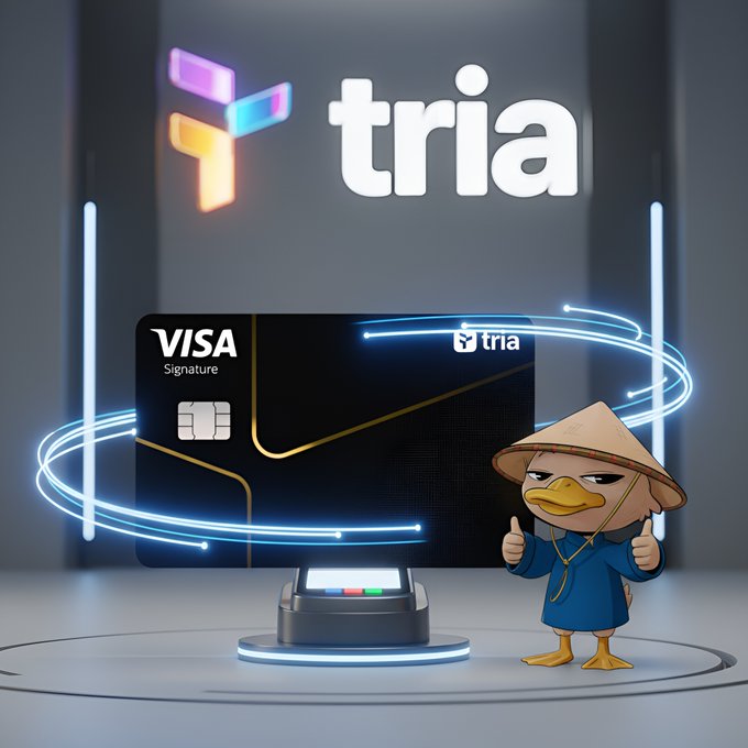The image features a cartoon duck standing next to a black Visa credit card display. The duck has a hat on its head and is giving a thumbs up, seemingly expressing approval or satisfaction with the credit card display. The text "Tria" can be seen in the background, which might indicate that this is an advertisement for the Visa credit card. The image focuses on the credit card display rather than the content of the post, as it seems to be more about promoting the credit card itself rather than discussing its features or benefits.