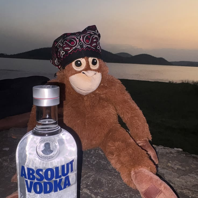 A plush orangutan wearing a patterned bandana sits on a rock beside a bottle of Absolut Vodka, with a sunset over water and mountains in the background.