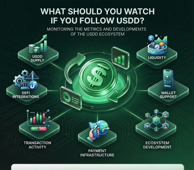 Infographic titled "What Should You Watch If You Follow USDD?" displaying key metrics for monitoring the USDD stablecoin ecosystem, including USDD Supply, Liquidity, Wallet Support, Ecosystem Development, Payment Infrastructure, Transaction Activity, and DeFi Integrations.