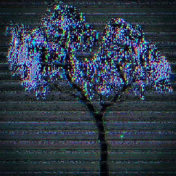 None