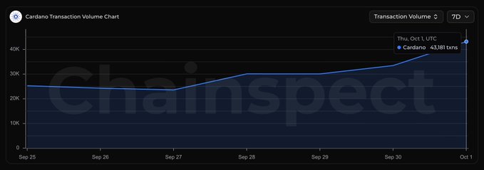 A ChainSpect 'Cardano Transaction Volume Chart' showing a 7-day trend with transaction volume rising from around 24K to 43,181 txns on Thu, Oct 1, UTC.