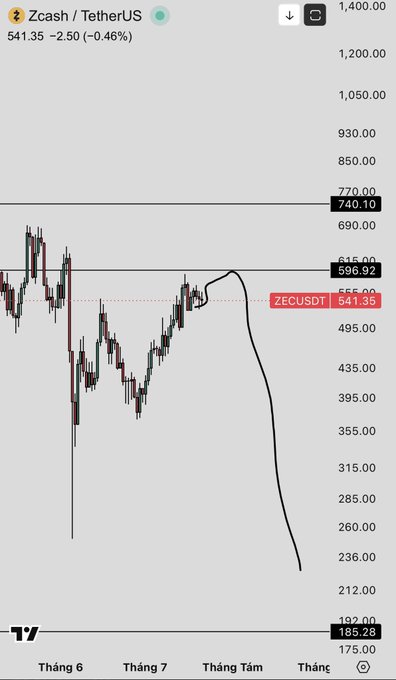 A TradingView chart of Zcash/TetherUS showing ZECUSDT at 541.35, down 0.46%, with a hand-drawn bearish trend line.