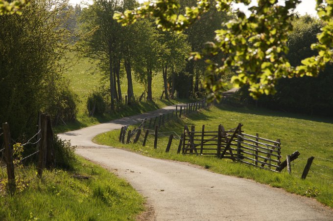 A winding country road curves through lush green pastures bordered by rustic wooden fences and tall trees, bathed in warm sunlight. The scene's quiet, steady path forward mirrors the post's message about discipline—consistent, deliberate steps leading somewhere worthwhile, rather than waiting for luck to find the way.