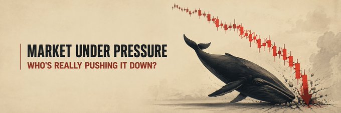 A dramatic banner image titled 'MARKET UNDER PRESSURE - WHO'S REALLY PUSHING IT DOWN?' featuring a whale crashing into water alongside red downward-trending candlestick charts.